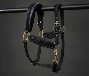 Cabestro para Caballo de Cuerda PP con Acolchado de Forro Polar, Ajuste Cómodo, Herrajes Dorados, Detalles Brillantes, Color Personalizable - Product Image 3