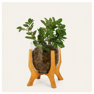 Support à plantes en bois moderne, fait main, en bois massif, pour plantes d'intérieur, pour salon, bureau, décoration de la maison, présentoir de table - Product Image 3