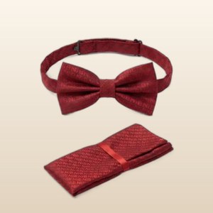 Ensemble nœud papillon et pochette de costume ANIMA en jacquard rouge bordeaux - Product Image 1
