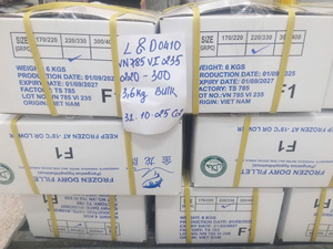 Cubos de Pangasius de Tamaño Uniforme 20-40mm, Filete Congelado en Cubos IQF 23-35g Bajo en Carbohidratos, Suministro al por Mayor VHFood de Vietnam - Product Image 6