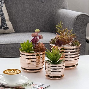Macetas pequeñas de cerámica de cobre metálico para plantas de interior, con diseño acanalado de drenaje, macetas de flores suculentas con platillos acoplados - Product Image 2