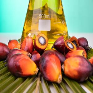 เศษพลาสติก HDPE สีน้ำเงินคุณภาพสูง และเศษขวดนมธรรมชาติสำหรับการรีไซเคิลพลาสติกและการผลิต - Product Image 3