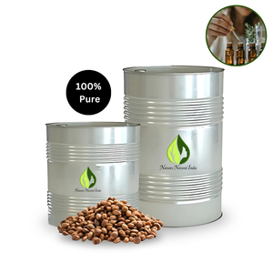 Huile de support de graines de Chironji biologique NATURELLES HUILES D'INDE NATURELLES PVT. LTD. NNI-CO-15 modèle approuvé pour les huiles d'exportation d'approvisionnement en vrac - Product Image 4