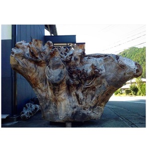 Prix raisonnable, bois brut de première qualité, longues rondelles de bois décoratives - Product Image 1