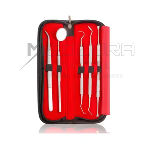 Raspador Dental Profesional de Acero Inoxidable, Kit de Higiene Dental Reutilizable y Ecológico - Product Image 1