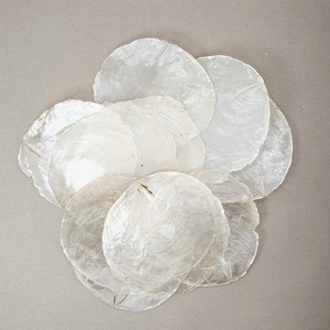 โรงงานผลิตแผ่นเปลือกหอยกาบปะการัง จำหน่ายโดยตรง แผ่นกลมแบนจากเปลือกหอยกาบปะการังธรรมชาติ สำหรับงานฝีมือ - Product Image 6