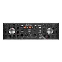 Amplificateur de puissance à bon prix 2000w 3000w 2 canaux classe Td Amplificateur de puissance audio professionnel pa