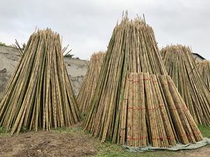 Bastón de bambú natural de Vietnam, estacas de bambú de tamaño personalizado de alta resistencia, rectas y a precio barato para decoración, apoyo a tiro - Product Image 3
