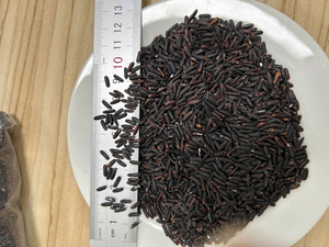 Arroz Jazmín Seco de Vietnam, Grano Largo, Sin OMG, 2 Años de Duración, Venta al Por Mayor, OEM, Marca Privada, Precio de Fábrica IIGlobal - Product Image 4