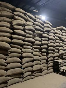 Granos de Café Verde Robusta y Arábica / Granos de Café Verde Arábica Lavados / Granos de Café Tostados - Product Image 5