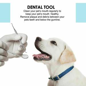 Instruments dentaires, outils chirurgicaux pour le nettoyage des dents, kit d'hygiène buccale, kit de détartrage, miroir dentaire anti-buée - Product Image 5