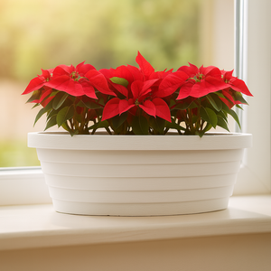 Macetas de plástico con forma de barco inusual, macetas llamativas para decoración de jardín - Product Image 1