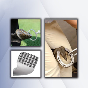 Herramienta Veterinaria Segura para Pruebas de Pezuñas, Instrumento de Acero Inoxidable de Alta Durabilidad para el Cuidado Equino - Product Image 3