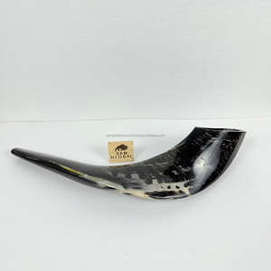 Shofar yemenita hecho a mano de alta calidad, cuerno Natural que sopla Rosh Hashanah Kosher Kudu Ram Horn, técnica pulida ecológica - Product Image 1