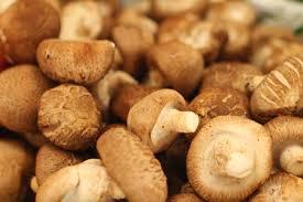 Hongos Shiitake Secos y Blanqueados, a Granel, Calidad Premium, Marca Privada OEM, Vietnam - Product Image 6