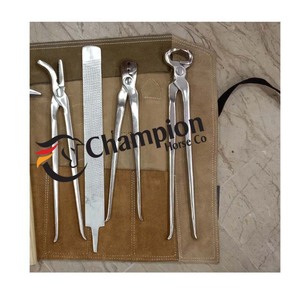 Juego de 10 Herramientas para Herrador – Kit Completo para el Cuidado de Pezuñas y Herraduras de Caballos - Product Image 5