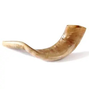Shofar Auténtico de Cuerno de Carnero Ecológico, Hecho a Mano y Pulido, Instrumento Judaico para Oración y Ceremonias Religiosas - Product Image 6