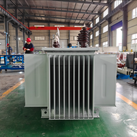Transformateur immergé dans l'huile APEX S13 100-2500 kVA 11-33 kV 380-415 V Triphasé 50 Hz 60 Hz pour installations commerciales IEC 60076