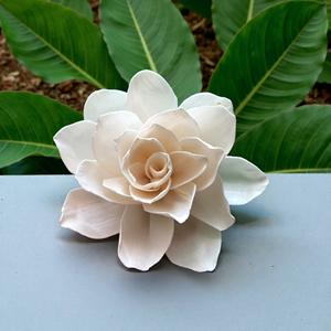 ดอกไม้ไม้โซลา VADEE SOLA WOOD FLOWER VDXXX-041 งานฝีมือทำมือ ดอกไม้ไม้โซลา YAYA ขนาด 8-8.5 ซม. ก้านใยพืชเซสบานีอา สำหรับอโรมาเธอราพี - Product Image 1