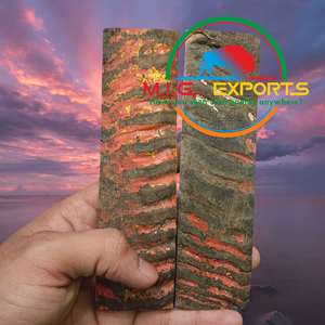 Placas de Cuerno de Oveja - Product Image 2