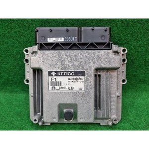 Equus - Módulos de Computación y ECUs Usados 391103F430 - Product Image 1