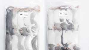 Rats congelés M2 51-60g, nourriture pour reptiles de qualité supérieure, vente en gros, sans salmonelle, nutrition bio-améliorée - Product Image 5