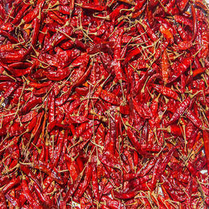 Piment rouge entier séché de qualité export FitTree International, provenant du Gujarat, Inde, pour les acheteurs de l'industrie alimentaire internationale - Product Image 2