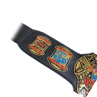 2025 nouveau ECW Hardcore World Heavyweight Wrestling Championship véritable qualité adulte taille ceinture 2MM noir