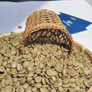 GRANOS DE CAFÉ ROBUSTA VIETNAMITA R1S16 R1S18, LIMPIADOS EN HÚMEDO, CALIDAD DE EXPORTACIÓN, MARCA PRIVADA DISPONIBLE |   CELESTE VILACONIC - Product Image 1
