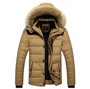 Blouson matelassé à capuche pour homme, coupe droite, couleur unie, rembourrage polyester, imperméable, coupe-vent, décontracté, pour l'hiver, fermeture éclair - Product Image 1