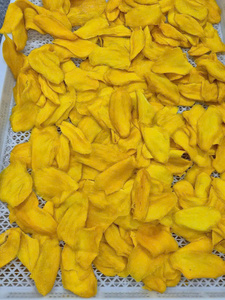 Mangues séchées vietnamiennes saines, faibles en sucre, naturellement sucrées, collation de fruits tropicaux, fournisseur en gros - Product Image 1