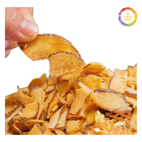 Golden Crispy Coconut Chips Natural Snack Coconut Slices Export Standard