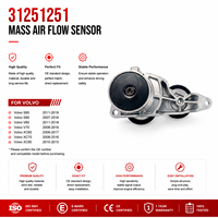 Tensor de Correa de Transmisión, Tensor de Correa del Motor, 1 Año de Garantía, OE 31251251