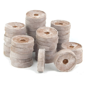 Semillas de musgo de Coco para guardería, precio barato, venta al por mayor - Product Image 6