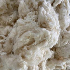 Algodón Combernoil limpio, marca Nithya, cantidad mínima 23 toneladas +/- 10. Contacte a la Sra. Kate +84387097963 - Product Image 3