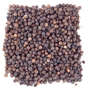 Fabrieksprijs Vietnam Zwarte Peper 5Mm Bold Hete Pikante Bulk Zwarte Peperkorrels Voor Export