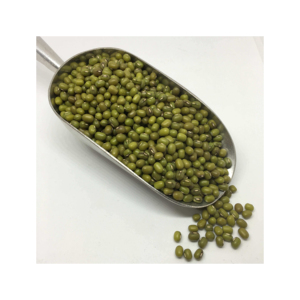 Prix d'usine, qualité supérieure, haricots mungo verts, haricots Vigna, haricots verts - Product Image 4
