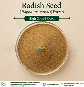 HGO Factory Direct Supply Radish <b>Seed</b> (Raphanus sativus) Extract (Food Grade) Specification Ratio 4:1 5:1 10:1 20:1 100:1 200:1 - Product Image 1