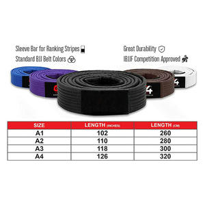 Ceinture d'entraînement pour arts martiaux BJJ de haute qualité - Product Image 5