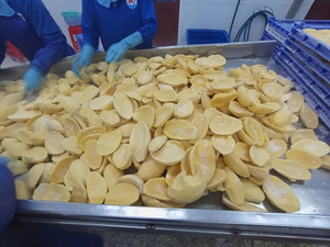 Fabricante de Cubos de Mango Congelado, Suministro Directo de Fábrica en Vietnam con Empaque OEM para Compradores Mayoristas en Todo el Mundo - Product Image 3