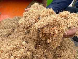 Fournitures de jardin en gros : Bloc de tourbe de coco naturelle 5 kg pour la culture des plantes, dimensions 30 x 30 x 15 cm, provenance Inde, 2026, prix abordable - Product Image 5