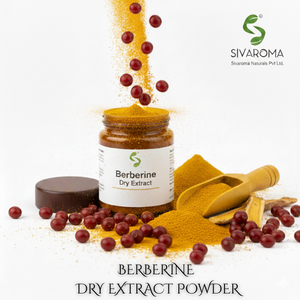 Extrait sec botanique standardisé de berbérine en poudre, ingrédients naturels pour la fabrication de produits alimentaires et de bien-être - Product Image 6