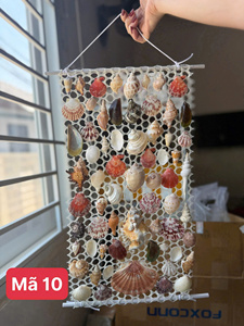 ARTÍCULOS DE CONCHAS MARINAS PREMIUM EN OFERTA |   Conjunto de Arte Mural y Joyería de Conchas Naturales Ecológicas - Product Image 5