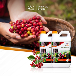 Fertilizante Líquido Orgánico, Nutriente Biológico para Plantas, Aditivo para la Alimentación de Plantas de Café, Caucho, Té y Caña de Azúcar - Product Image 1