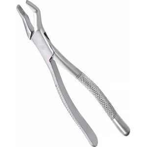 Forceps chirurgicaux dentaires en acier inoxydable de haute qualité, les plus vendus au Pakistan, instrument d'extraction, prix de gros direct usine - Product Image 3