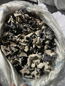 Fonge noire séchée naturelle en vrac, champignon oreille de bois de qualité supérieure, fournisseur en gros - Product Image 5