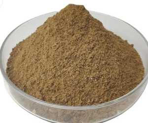 Farine de poisson artisanale durable de qualité supérieure TAQI CRAFT INTERNATIONAL pour l'enrichissement des plantes et des sols - Product Image 4