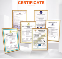 Mini Excavadora de Alta Eficiencia de 1.2 Toneladas, Excavadora Pequeña de 7 Toneladas, Sistema Hidráulico Hengli, Certificación EAP, Minipelle de 2 Toneladas