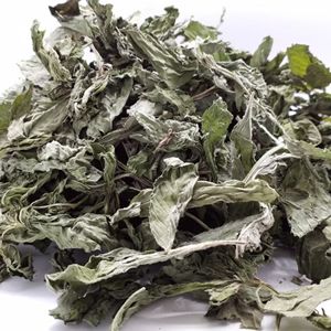 Venta al por mayor de hojas de menta crudas liofilizadas con sabor a menta, especias y hierbas individuales, hechas en Vietnam, ¡gran oferta! - Product Image 1