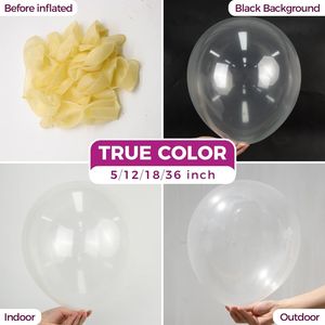 Palloncini in Lattice Trasparente da 12 Pollici - Confezione da 100 per Matrimoni, Addii al Nubilato, Compleanni, Feste ed Eventi - Product Image 2